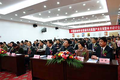 优德88 优德88
