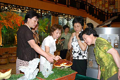 优德88 优德88