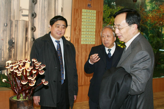 优德88