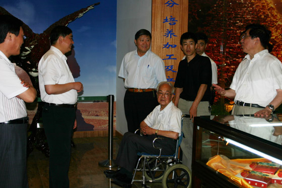 优德88